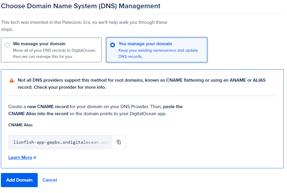 DNS Domains
